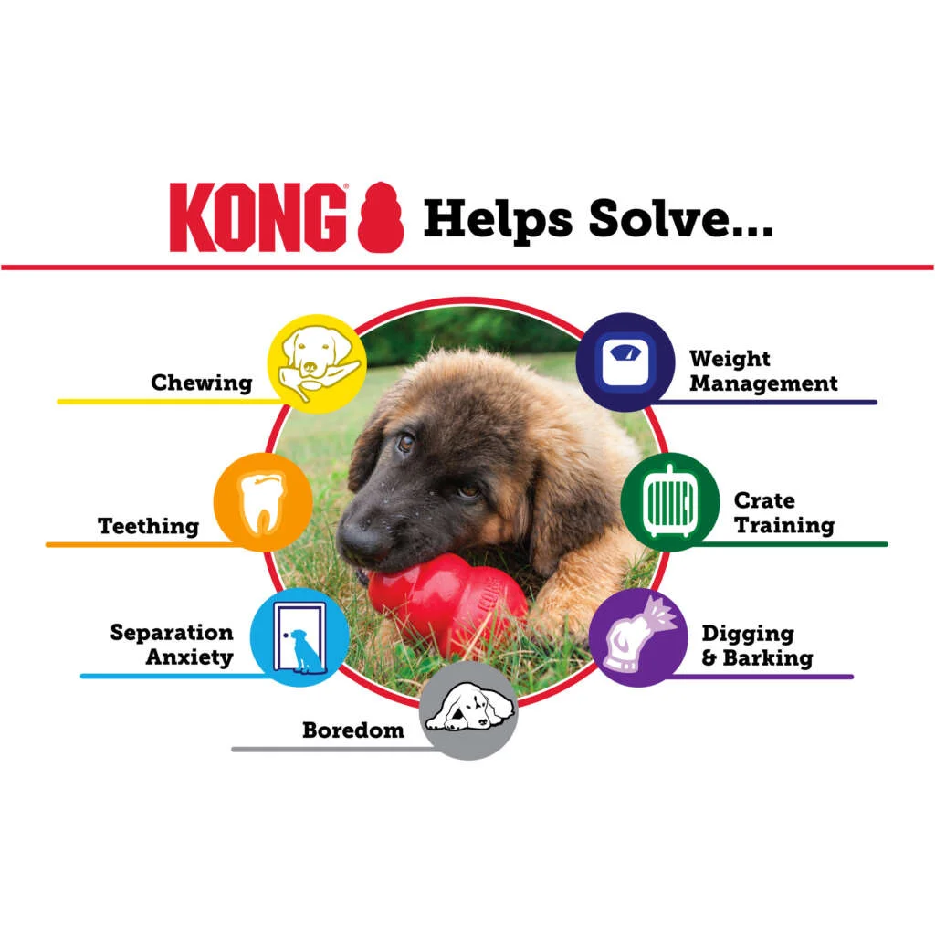 Kong Classic per Cani 2 Kong Classic per Cani