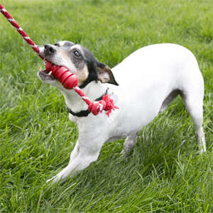 Kong Cane Corda con Osso - Foto 1 | AlanDog