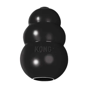 Kong Cane Extreme | AlanDog