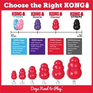 kong-classic-per-cani-classifica Kong Classic per Cani - Foto 11 | AlanDog