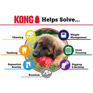 kong-classic-per-cani-spiegazione-vantaggi Kong Classic per Cani - Foto 8 | AlanDog