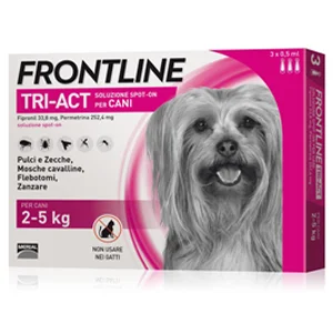 Kit Cane da 2 a 5 kg - Foto 3 | AlanDog