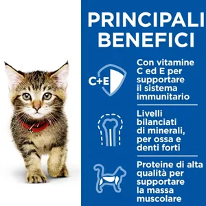 Hill’s Science Plan Kitten Healthy Cuisine con Pollo e Pesce Oceanico e Verdure - Hill's - Foto 3 | AlanDog