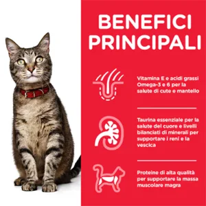 Hill’s Science Plan Gatto Adult Bustine Manzo - Hill's - Foto 1 | AlanDog