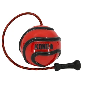 Kong Cane Bunjiball