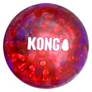 Kong Cane Squeezz Geodz 2 pezzi