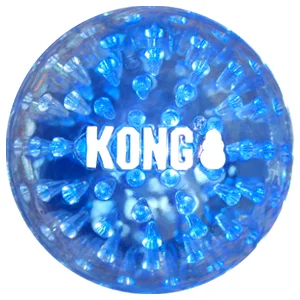 Kong Cane Squeezz Geodz 2 pezzi - Foto 1 | AlanDog