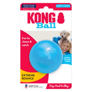Kong Palla con Foro per Cuccioli