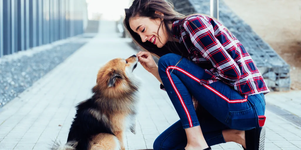 10 Facili e Divertenti Trucchi da Addestrare al Tuo Cane