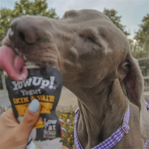 YowUp Yogurt per Cane con Salmone per Cute e Pelo 10 Bustine da 115 gr - YowUp! - Foto 1 | AlanDog