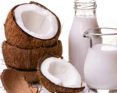 I gatti possono mangiare il cocco