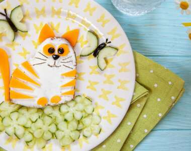 i gatti possono mangiare il formaggio