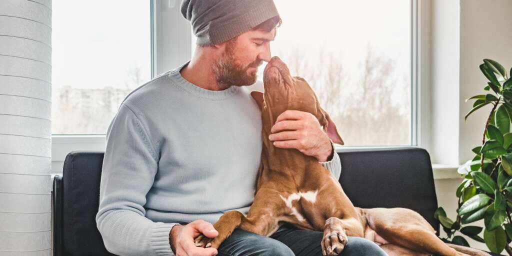 Come mostrano il loro amore i cani 12 modi in cui lo dimostrano