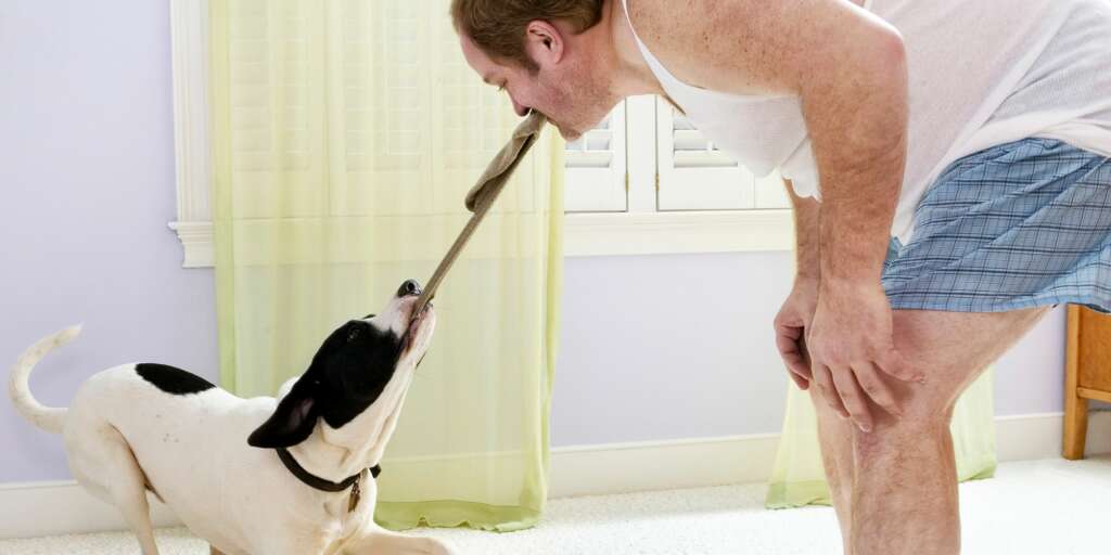 Una domanda che ci siamo posti tutti: perché il mio cane mangia i miei calzini? 1 Una domanda che ci siamo posti tutti perché il mio cane mangia i miei calzini