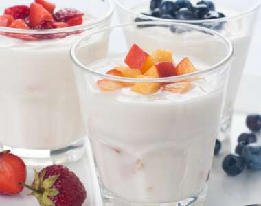cane può mangiare yogurt