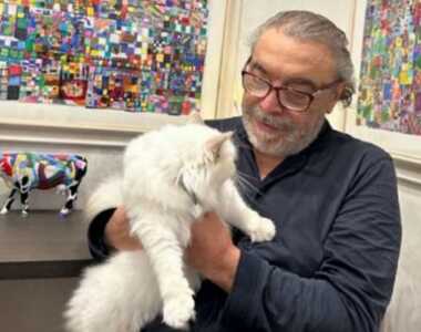 gatto-nino-frassica-scomparso