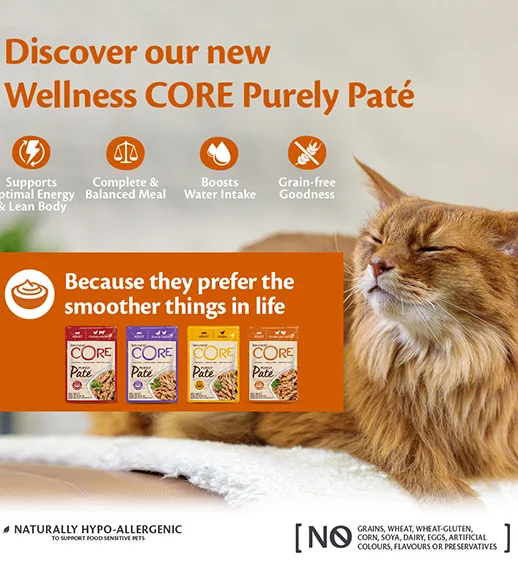 linea purely pate