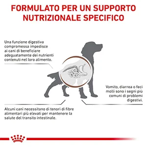 royal-canin-gastro-intestinal-high-fiber-cane-scatolette-umido-visual-1 Royal Canin VHN Gastro Intestinal High Fiber Cane Scatolette umido - Foto 2 | AlanDog