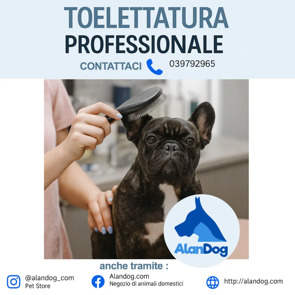 TOELETTA