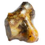 PiùCane Masticativi Ginocchio di Manzo