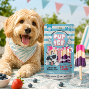 PUP ICE Rocket Lollies Fragola e Mirtilli – Gelato per cani 2 Gelati - immagine alternativa